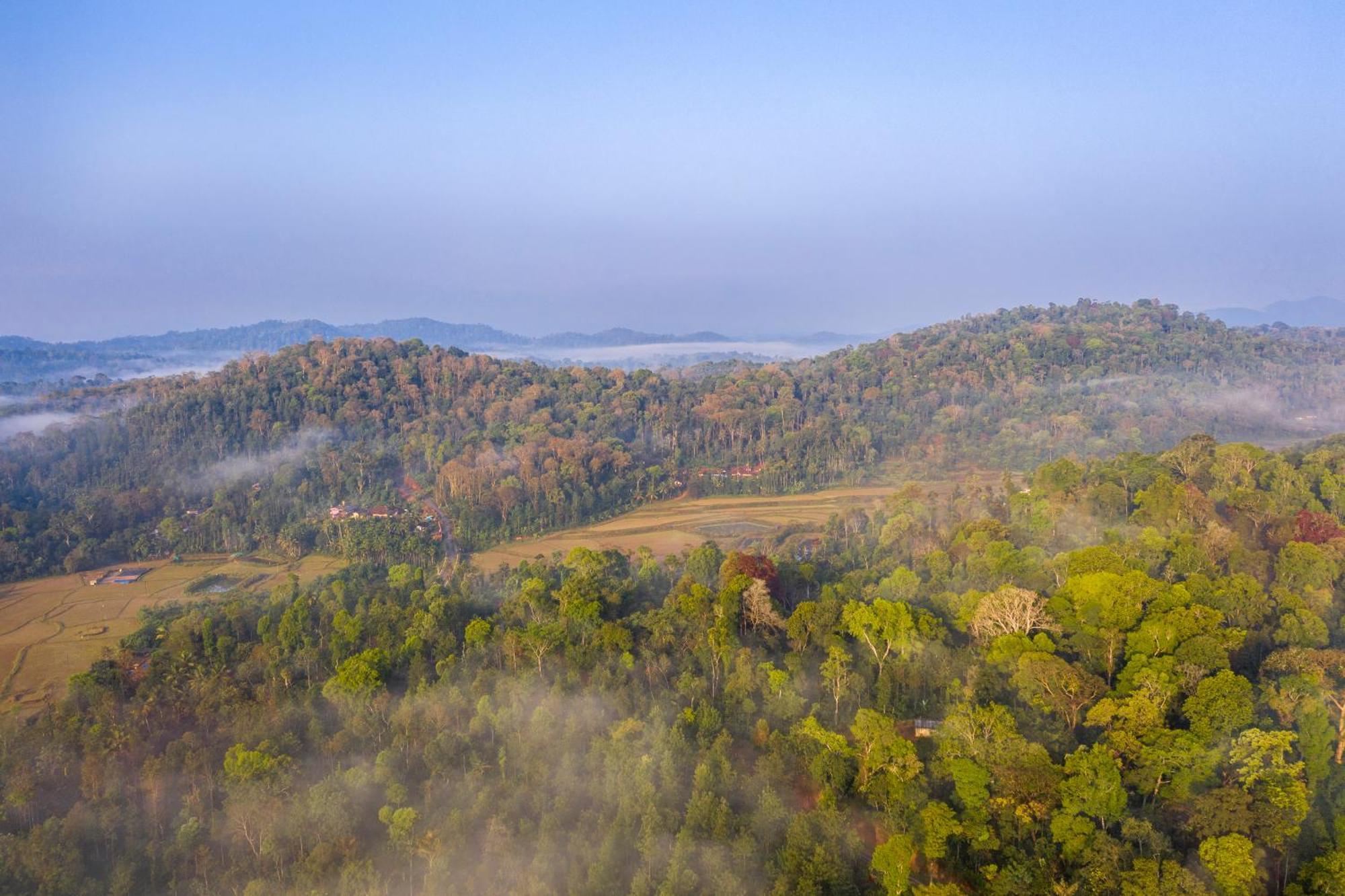 Ama Stays & Trails, Rare Earth Estate Madikeri Kültér fotó