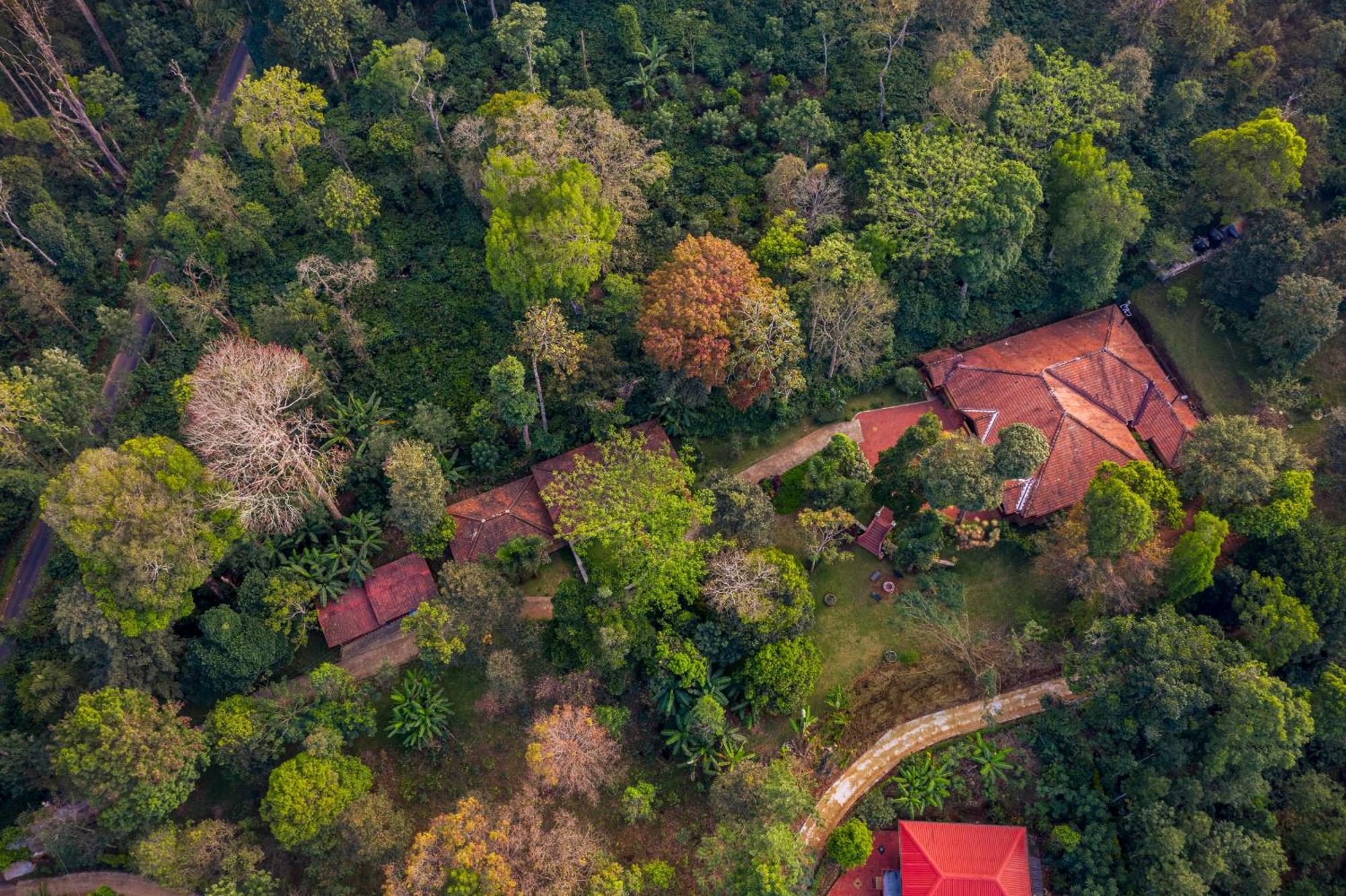 Ama Stays & Trails, Rare Earth Estate Madikeri Kültér fotó
