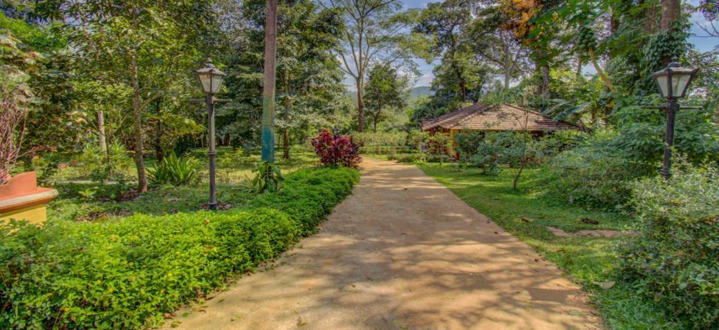 Ama Stays & Trails, Rare Earth Estate Madikeri Kültér fotó